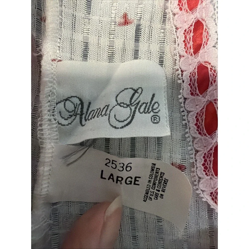 Vintage Alana Gale Teddie Twee Tiny Heart Ruffle Lace Lingerie Sz Large